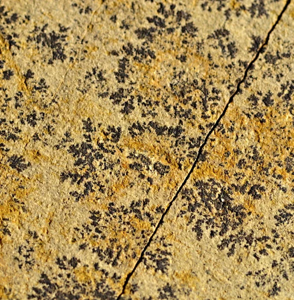 Schwarze Muster auf dem Sandstein — Stockfoto