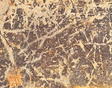 alıntı sıva duvar