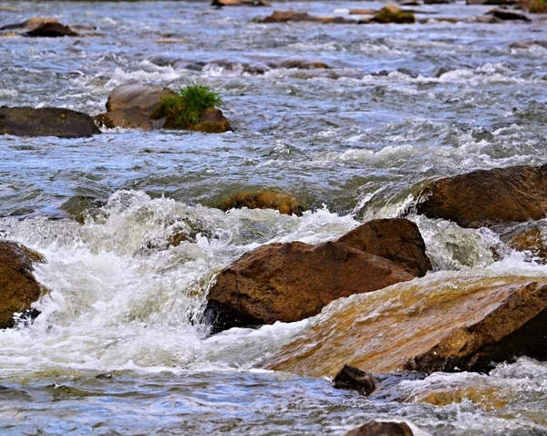 Spring rapids river — Stock Photo, Image