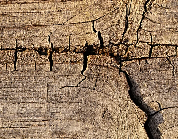 Vieux bois avec fissure — Photo