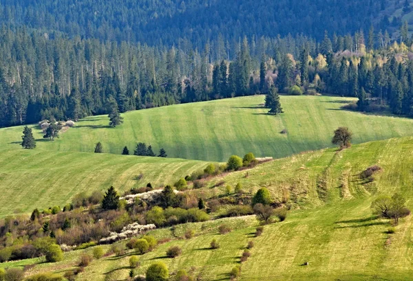 Jarní krajina hory — Stock fotografie