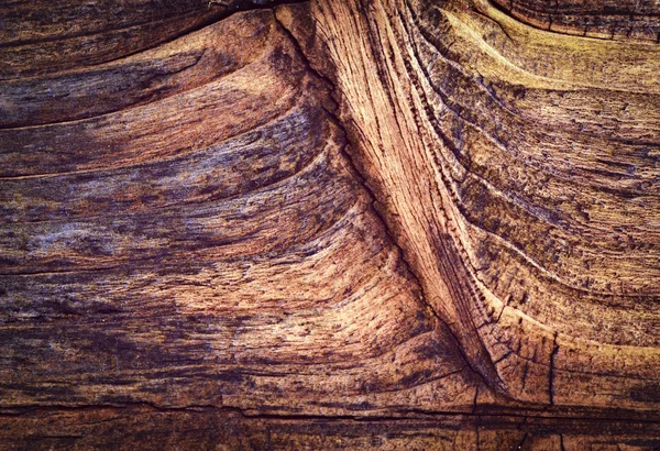 Vieux bois brun — Photo