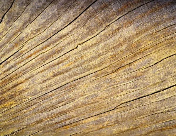 Mão fãs rachaduras na madeira — Fotografia de Stock