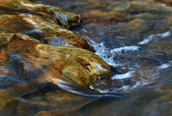 Cailloux dans un ruisseau — Photo