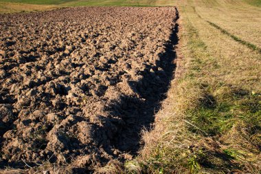 Detaylı manzara Sonbaharda sürülen tarla ve çayır