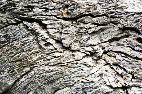 Fond Texture Détail Texture Calcaire Ridée — Photo