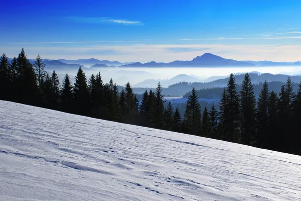 Ufuk manzaralı mevsimsel kış manzarası