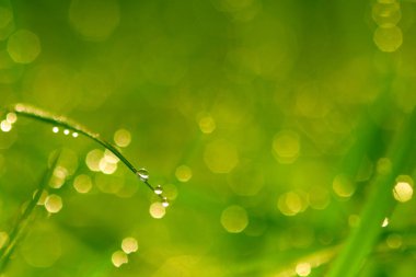 Bokeh, soyut, desen, bokeh ve parlak renklerle doğal arkaplan