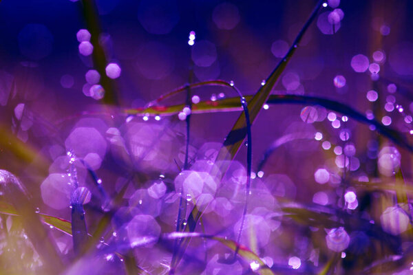 bokeh, abstract, texture, natural background with bokeh and bright colors