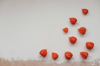 Beyaz desenli arka planda kırmızı bitki örtüsü olan sonbahar çerçevesi, üst görünüm.