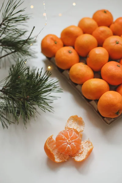 Köknar ağacı dalları ve mandallı Noel arkaplanı. Mutlu Noeller ve mutlu yıllar tebrik kartı.