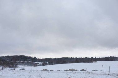 Güzel manzaralı karlı kış arka planı. Sihirli soğuk açık hava kış şablonu