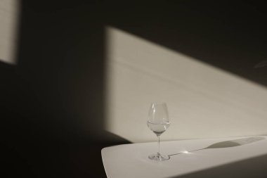 Köpüklü şarap ya da gölgeli şampanya bardağı. Modern, şık renk konsepti