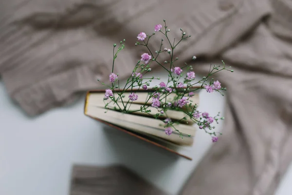 Béžový pletený svetr s knihou a květy horní pohled — Stock fotografie