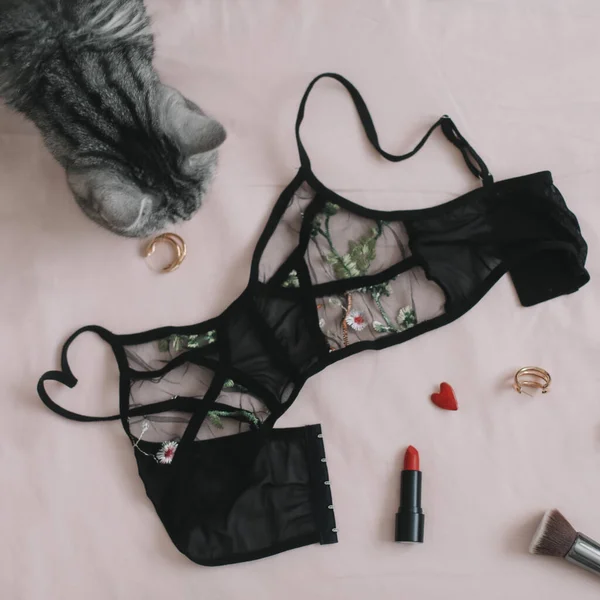 Vista dall'alto del simpatico gatto sdraiato sulla coperta accanto a biancheria intima femminile, rossetto e accessori. Flatlay di blogger donna Immagine Stock