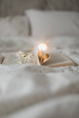 Sayfaları kalp şeklinde katlanmış bir kitap. Bokeh ile Sevgililer Günü arkaplanı.