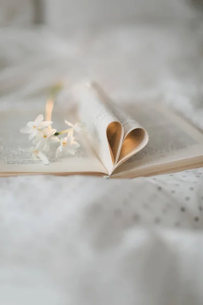 Book with pages folded into a heart shape. valentines festive background with bokeh. — Stock Photo, Image