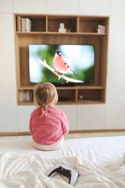 Evde televizyon izleyen küçük tatlı kız..