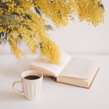 Beyaz zemin üzerinde sarı mimoza çiçekleri olan bahar kompozisyonu