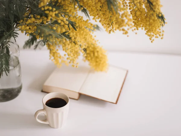 Spring Composition Yellow Mimosa Flowers White Background — Stock Photo, Image