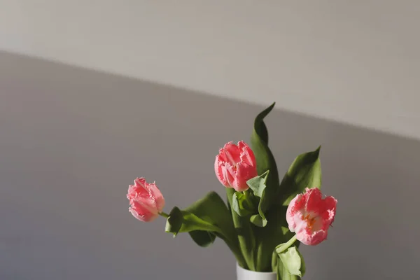 孤立在白色背景上的鲜粉红色郁金香 — 图库照片