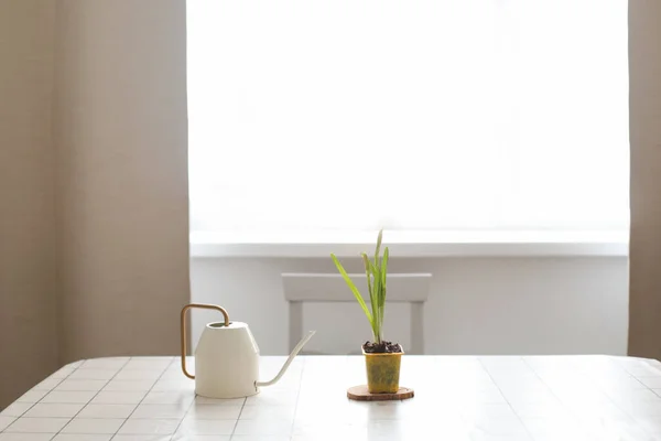 Watering kan en narcis in een pot. Tuinieren, Lente en Pasen concept — Stockfoto