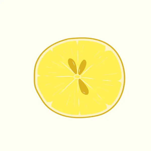 Tranche Citron Jaune Avec Des Graines — Image vectorielle