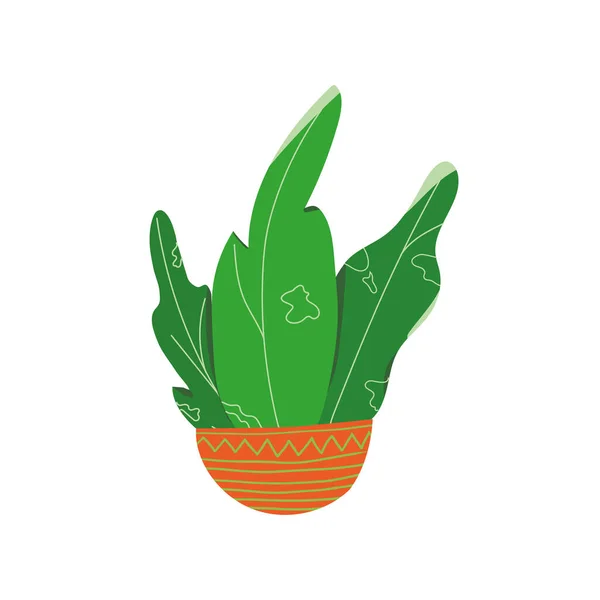 Interesante Planta Verde Una Olla Naranja Con Rayas Verdes — Vector de stock