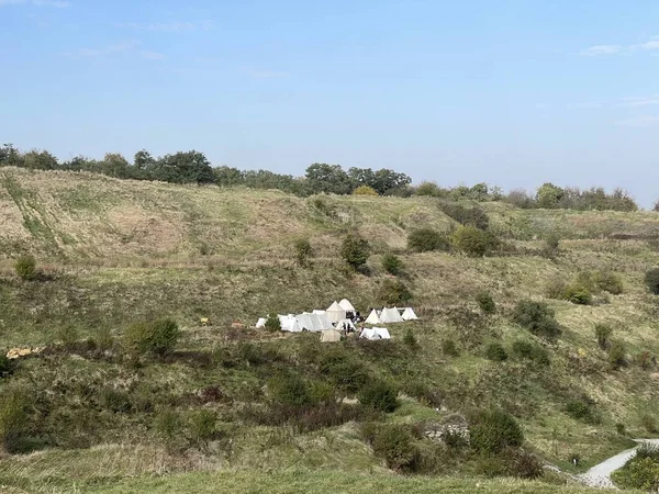 Vahşi doğadaki çadır şehri