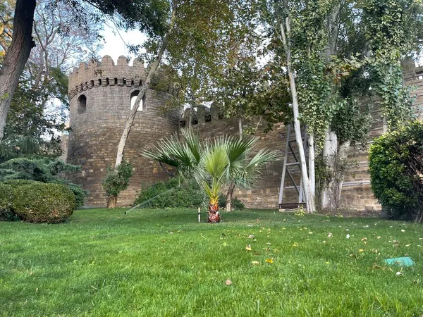 Eski bir şatonun arka planında palmiye ağacı olan güzel bir bahçe.