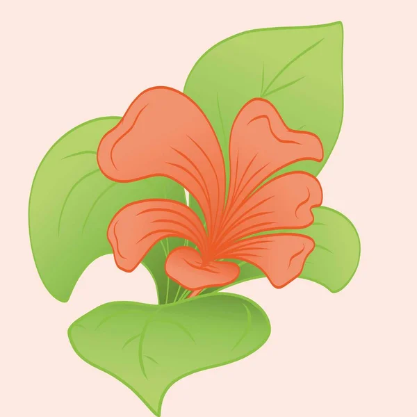 Fiore Delicato Arancione Fogliame Verde Immagine Vettoriale Bouquet Cartolina — Vettoriale Stock
