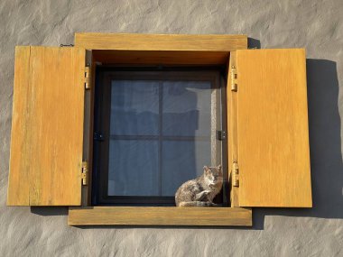 Güneşin altında güneşlenen bir kedi. Sarı kepenkleri olan eski bir evin penceresinde.