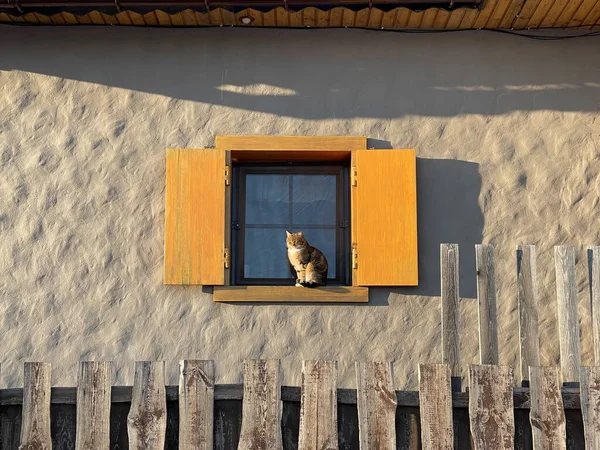 黄色いシャッターのある村の古い家の窓辺の太陽の下で日光浴をしている猫 — ストック写真