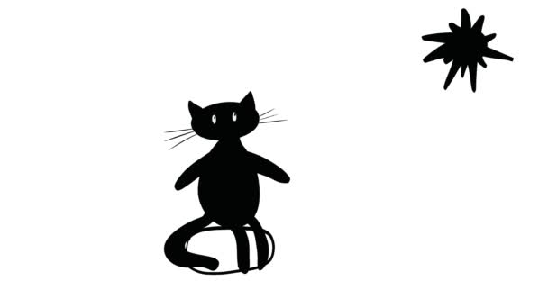 Ciudată Pisică Neagră Bea Apă Căldură — Videoclip de stoc
