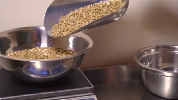 生咖啡豆 烘烤准备 水分和重量测量 视频4K 高质量的4K镜头 — 图库视频影像