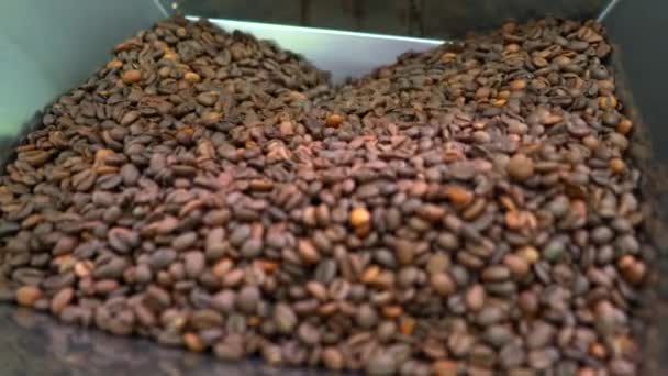 Coffee Beans Roasting Video High Quality Footage — Stock Video