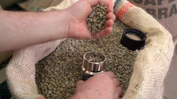 咖啡豆在烤 视频4K 高质量的4K镜头 — 图库视频影像