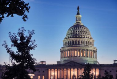 ABD Kongre Binası, Washington, D.C. 'deki National Mall' ın doğu ucundaki Capitol Hill 'de toplanma yeridir..
