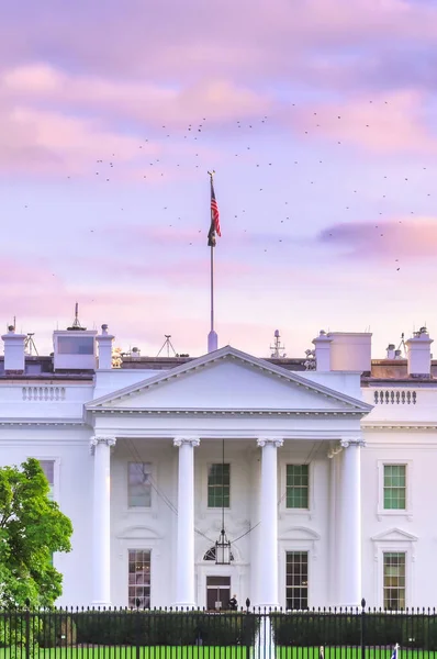 Das Weiße Haus Der 1600 Pennsylvania Avenue Washington — Stockfoto