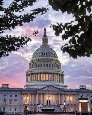 ABD Kongre Binası, Washington, D.C. 'deki National Mall' ın doğu ucundaki Capitol Hill 'de toplanma yeridir..