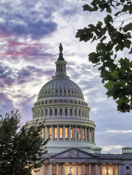 Capitólio Dos Estados Unidos Ponto Encontro Congresso Dos Estados Unidos — Fotografia de Stock