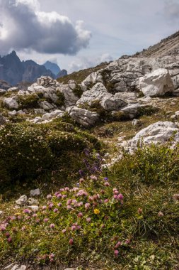 İtalya 'da Dolomitler' de Tre Cime di Lavaredo Dağı.