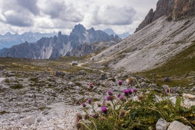 İtalya 'da Dolomitler' de Tre Cime di Lavaredo Dağı.