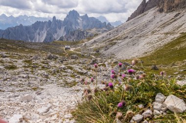 İtalya 'da Dolomitler' de Tre Cime di Lavaredo Dağı.
