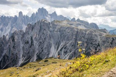 Dolomitlerdeki Dağ Yolu Tre Cime di Lavaredo