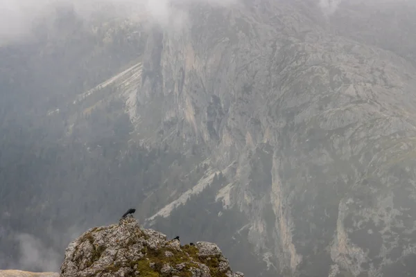 Mountain Trail Lagazoui Dolomites — Stockfoto