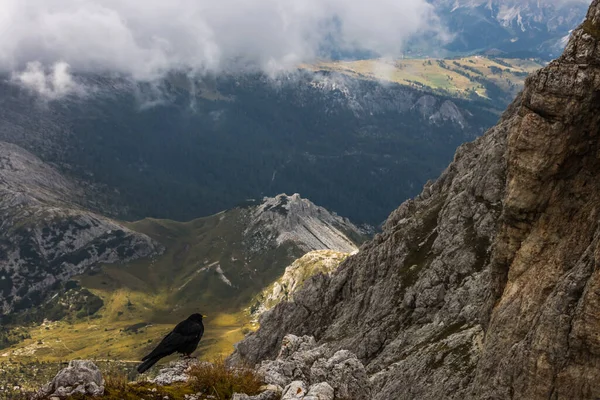Mountain Trail Lagazoui Dolomites — Fotografia de Stock