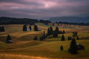 Dağ çayırında gün doğumu Seiser Dolomitlerde sadaka