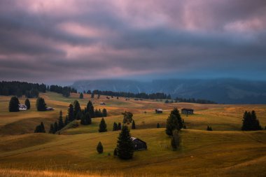 Dağ çayırında gün doğumu Seiser Dolomitlerde sadaka