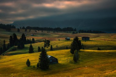 Dağ çayırında gün doğumu Seiser Dolomitlerde sadaka